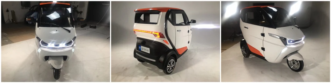 EEC Coc Ce 3 Wheel Mini Electric Vehicles for Adults