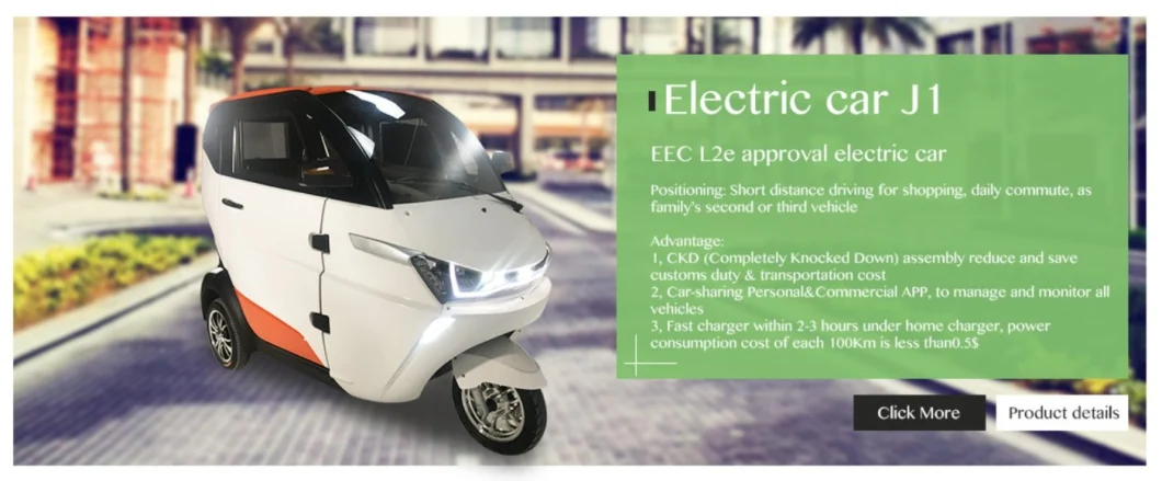 EEC Coc Ce 3 Wheel Mini Electric Vehicles for Adults